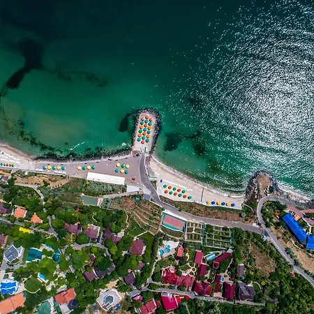 Sovinyon Odesa